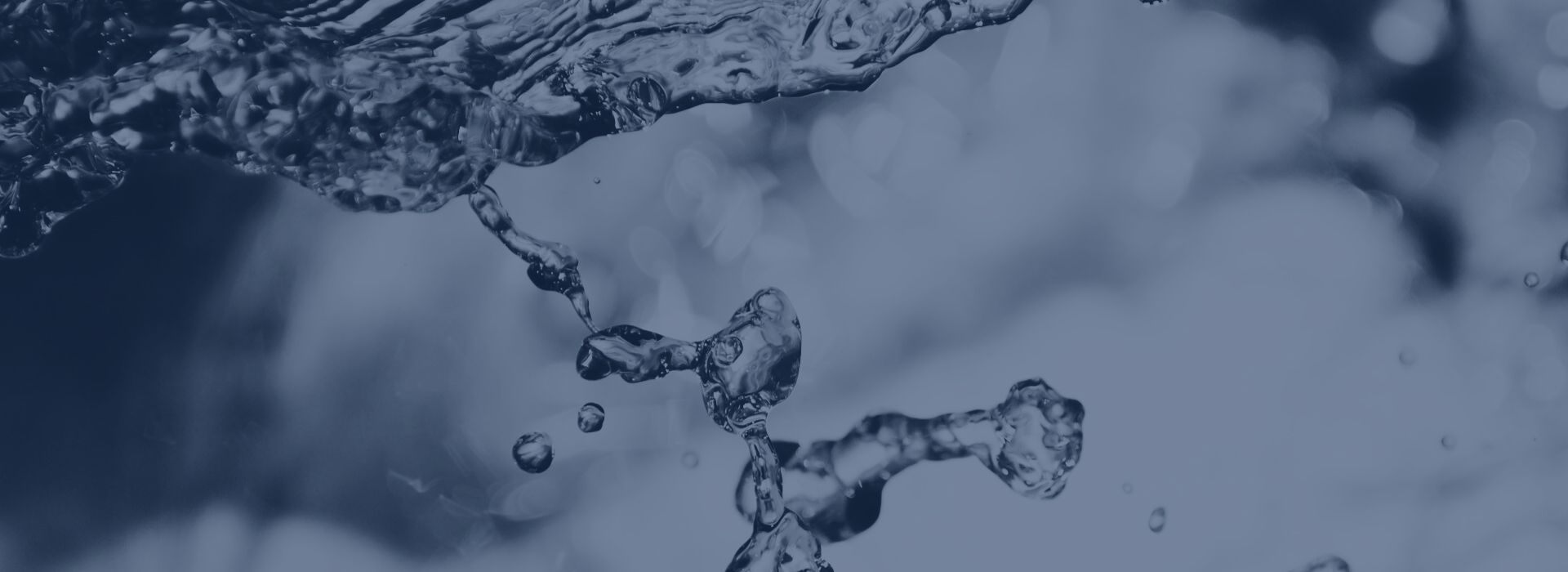 the drinking water club water flow