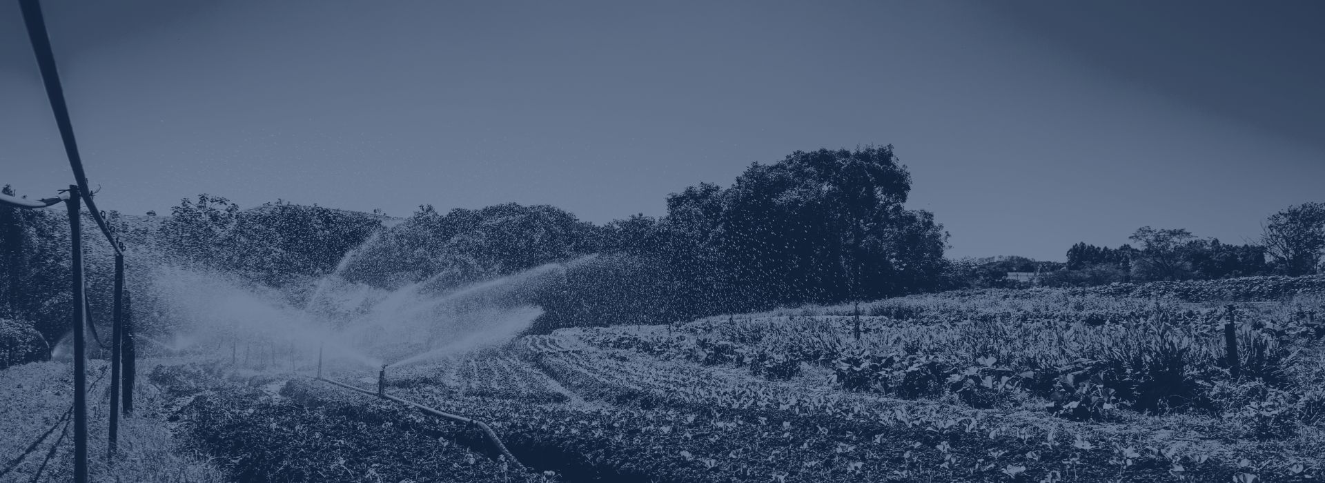 the drinking water club water for agriculture